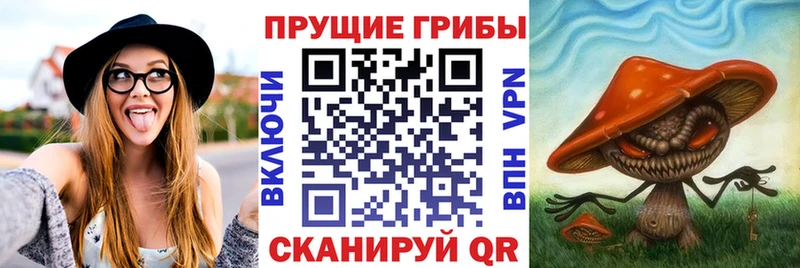 Псилоцибиновые грибы прущие грибы  Купить закладки  Заозёрный 